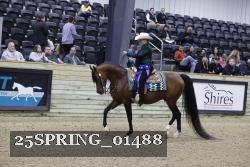 25SPRING_01488 thumbnail