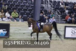 25SPRING_01496 thumbnail