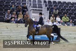 25SPRING_01497 thumbnail