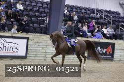 25SPRING_01521 thumbnail