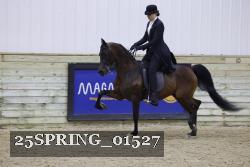 25SPRING_01527 thumbnail
