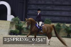 25SPRING_01547 thumbnail