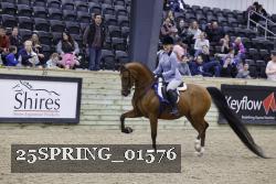 25SPRING_01576 thumbnail