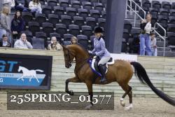 25SPRING_01577 thumbnail