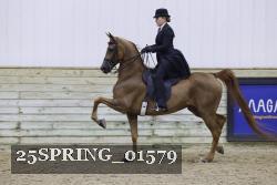 25SPRING_01579 thumbnail