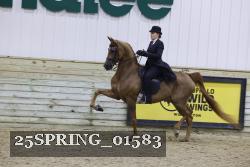 25SPRING_01583 thumbnail