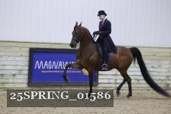25SPRING_01586 thumbnail