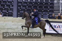 25SPRING_01593 thumbnail