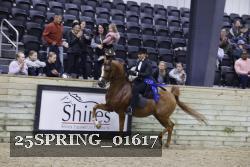 25SPRING_01617 thumbnail