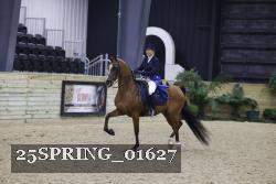 25SPRING_01627 thumbnail