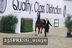 25SPRING_01630 thumbnail