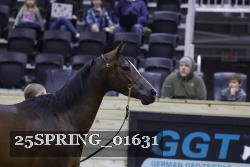 25SPRING_01631 thumbnail