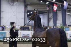 25SPRING_01633 thumbnail