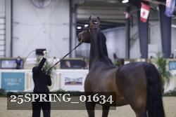 25SPRING_01634 thumbnail