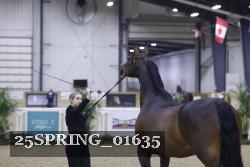 25SPRING_01635 thumbnail