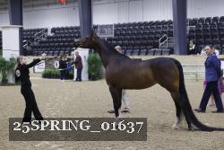 25SPRING_01637 thumbnail