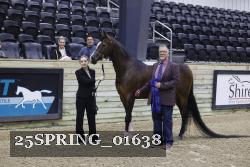 25SPRING_01638 thumbnail