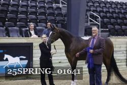 25SPRING_01641 thumbnail