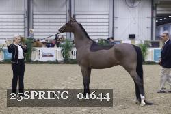 25SPRING_01644 thumbnail