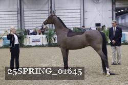 25SPRING_01645 thumbnail