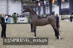 25SPRING_01646 thumbnail