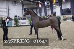 25SPRING_01647 thumbnail