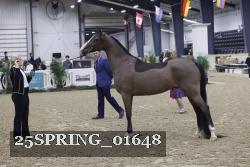 25SPRING_01648 thumbnail