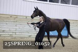 25SPRING_01652 thumbnail