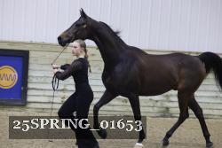 25SPRING_01653 thumbnail
