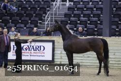 25SPRING_01654 thumbnail