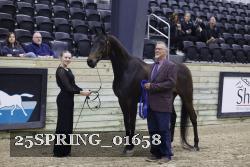 25SPRING_01658 thumbnail