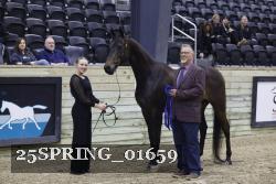 25SPRING_01659 thumbnail