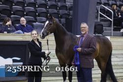 25SPRING_01661 thumbnail