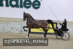 25SPRING_01664 thumbnail