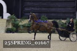 25SPRING_01667 thumbnail