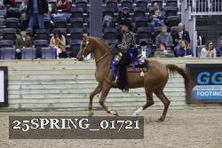25SPRING_01721 thumbnail