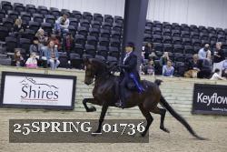 25SPRING_01736 thumbnail