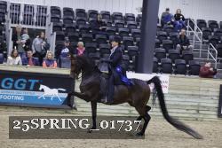 25SPRING_01737 thumbnail