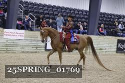 25SPRING_01769 thumbnail