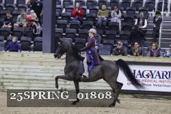 25SPRING_01808 thumbnail