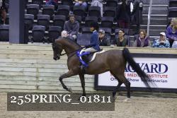 25SPRING_01811 thumbnail