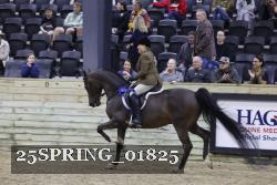 25SPRING_01825 thumbnail