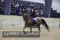25SPRING_01839 thumbnail