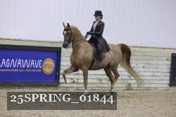 25SPRING_01844 thumbnail