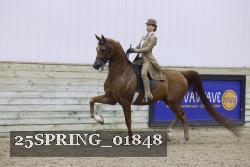 25SPRING_01848 thumbnail