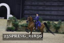 25SPRING_01850 thumbnail