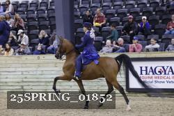 25SPRING_01852 thumbnail