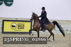 25SPRING_01866 thumbnail