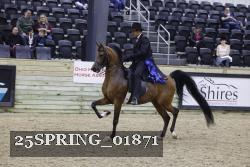 25SPRING_01871 thumbnail
