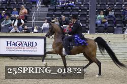 25SPRING_01872 thumbnail
